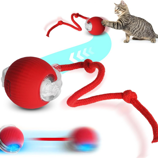 Interactive ball for cats