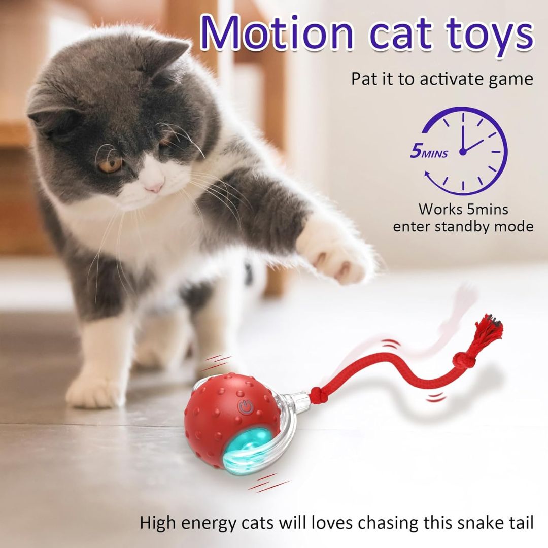 Interactive ball for cats